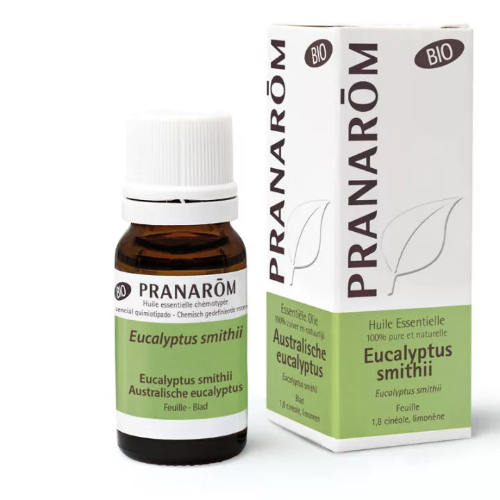 Huile Essentielle d'Eucalyptus Smithii - 10 ml - Bio - Pranarom