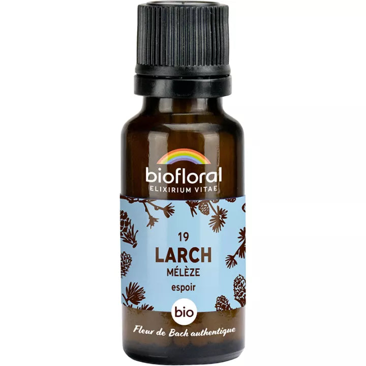 Fleur de Bach - Larch (Mélèze) - Bio - 19,5 g - Biolfloral