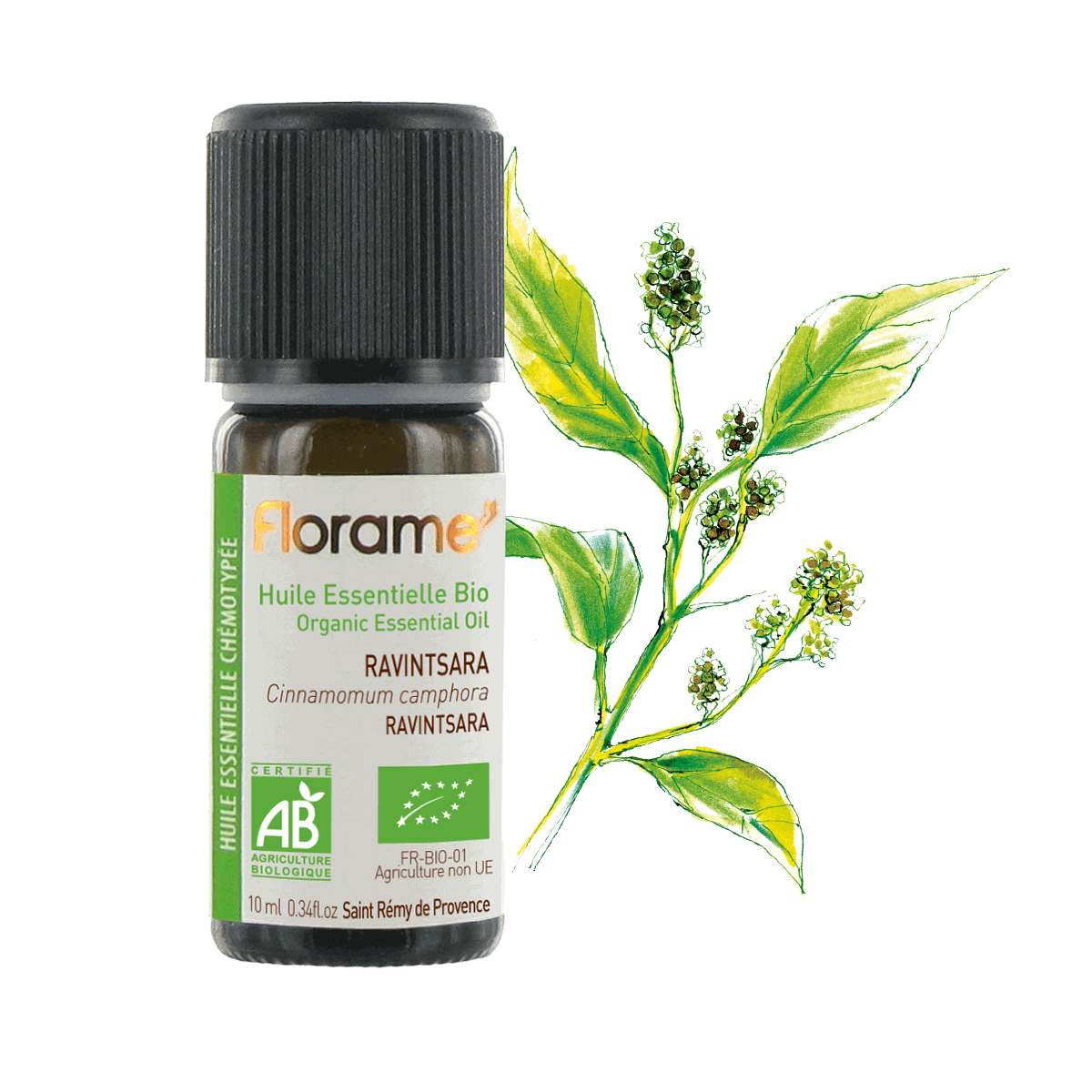 Huile Essentielle de Ravintsara - 10 ml - Bio - Florame