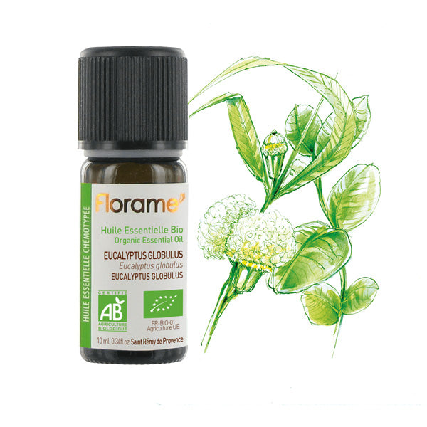 Huile Essentielle d'Eucalyptus Globuleux - 10 - Bio - 10 ml - Florame