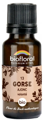Fleur de Bach - Ajonc (Gorse) - Bio - 19,5 g - Biolfloral