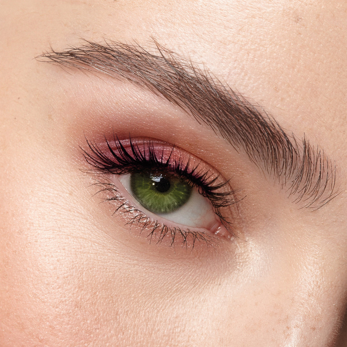 Palette Regard n°1 - Yeux Verts - 2,4 g - Couleur Caramel