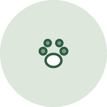 Animaux