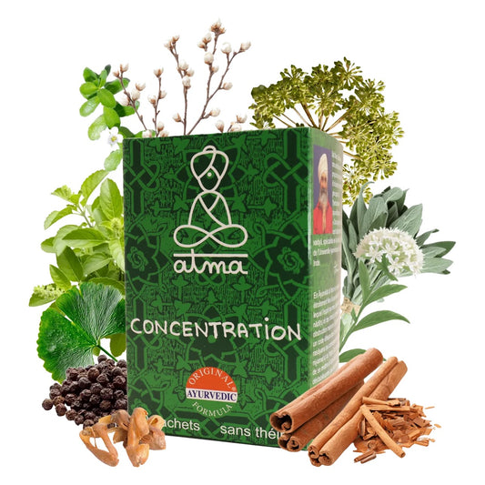 Infusion Buddhi Concentration - 20 Sachets - Bio - Atma