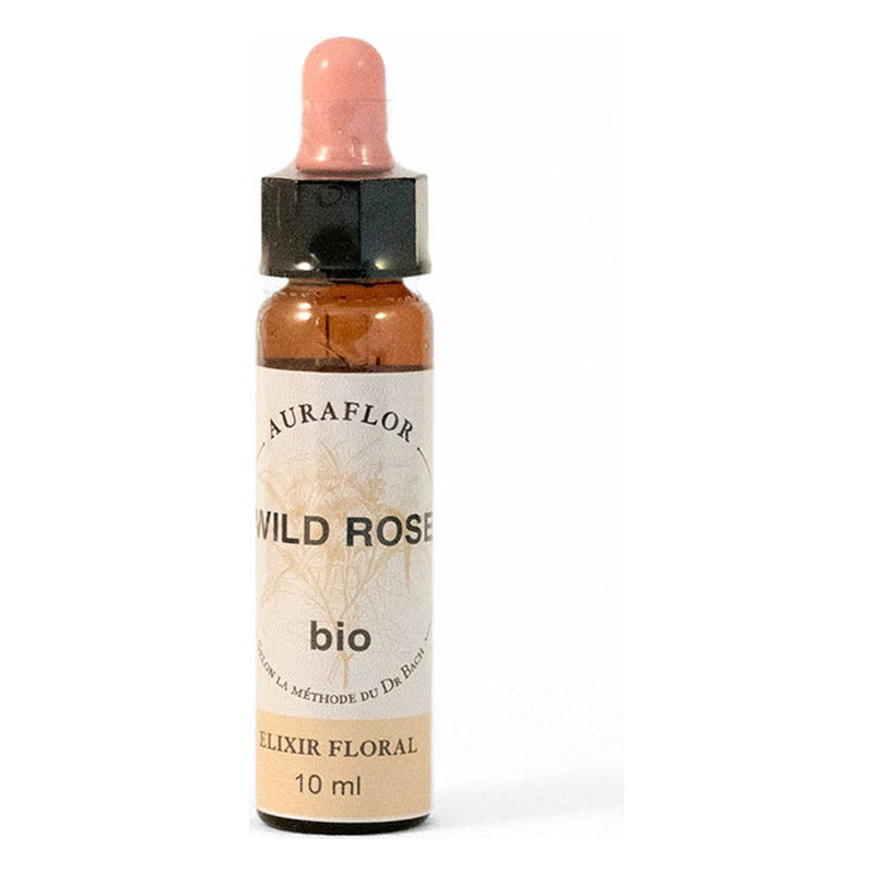 Fleurs de Bach - Eglantier - Compte-Gouttes de 10 ml - Bio - Dioter