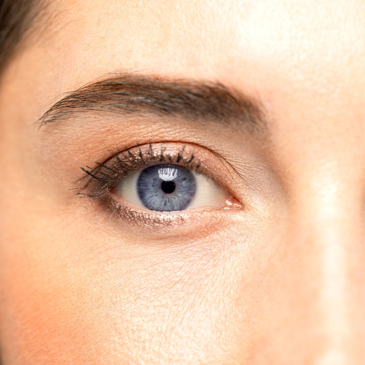 Palette Regard n°2 - Yeux Bleus - 2,4 g - Couleur Caramel