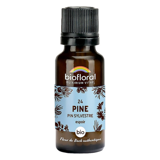 Fleur de Bach - Pine (Pin Sylvestre) - Bio - 19,5 g - Biofloral
