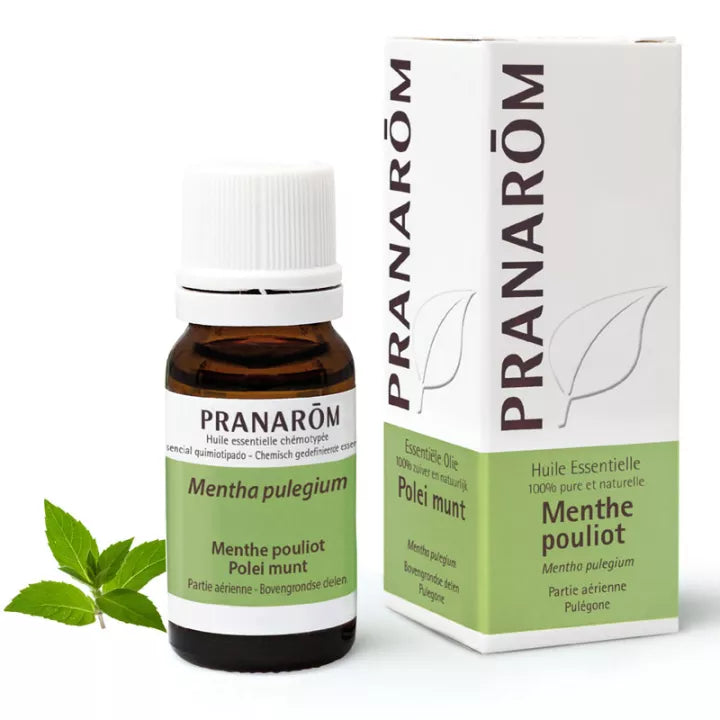 Huile Essentielle de Menthe Pouliot - 10 ml - Pranarom