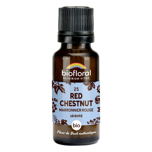 Fleur de Bach - Red Chestnut (Marronnier Rouge) - Bio - 19,5 g - Biofloral