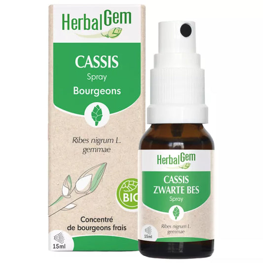 Cassis en Spray - 15 ml - Bio - Herbalgem