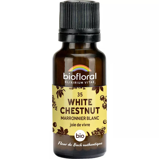 Fleur de Bach - White Chestnut (Marronnier Blanc) - Bio - 19,5 g - Biolfloral