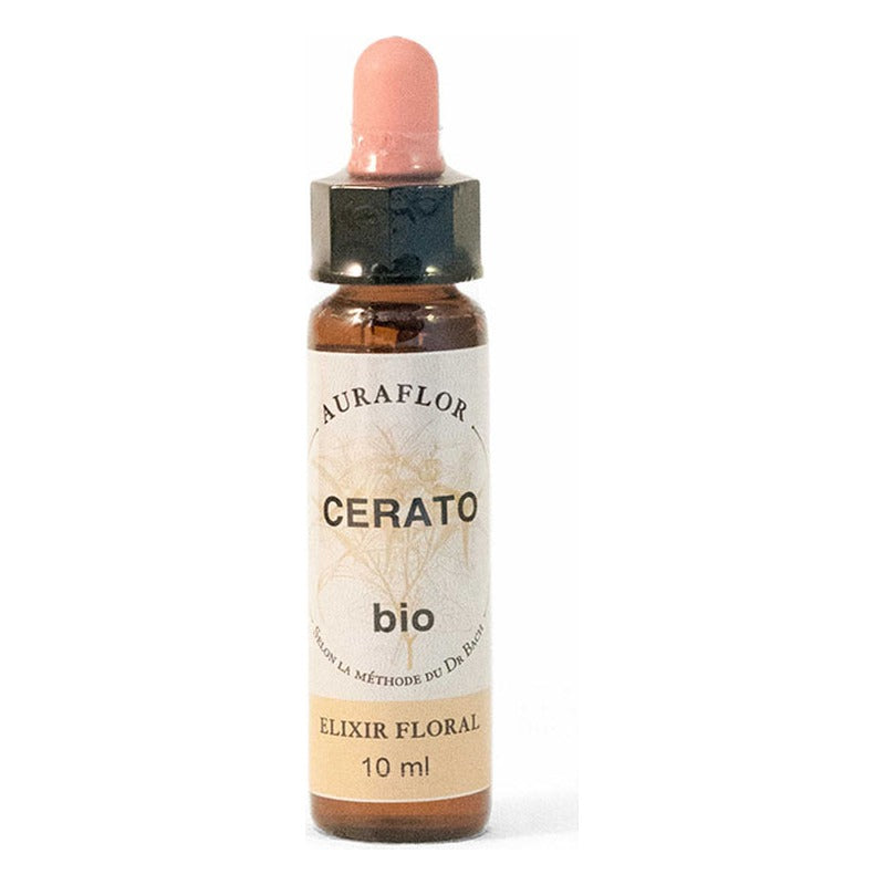 Fleurs de Bach - Plumbago - Compte-Gouttes de 10 ml - Bio - Dioter