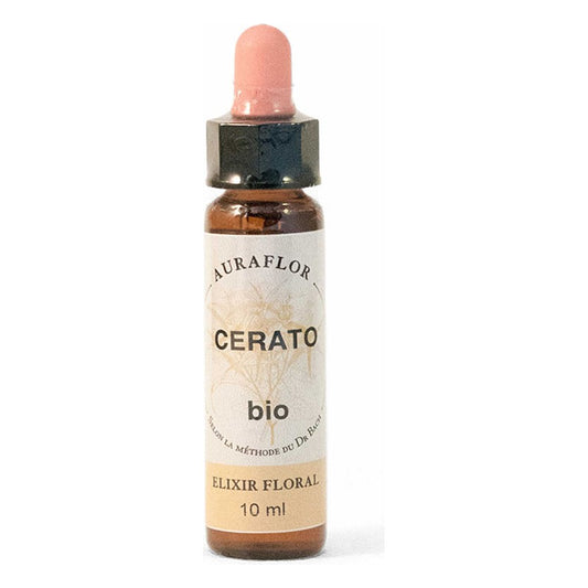 Fleurs de Bach - Plumbago - Compte-Gouttes de 10 ml - Bio - Dioter