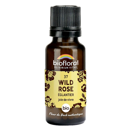 Fleur de Bach - Wild Rose (Églantier) - Bio - 19,5 g - Biofloral