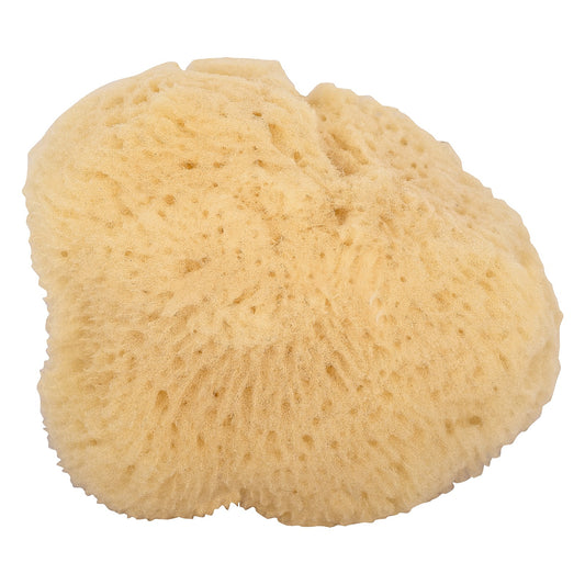 Éponge Visage - 1 Pièce - Bio - Niyok