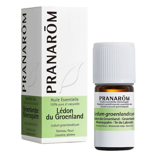 Huile Essentielle de Lédon du Groenland - 5 ml - Pranarom