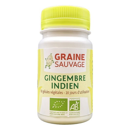 Gingembre Indien - 60 Gélules Végétales Disponible - Bio - Graine Sauvage