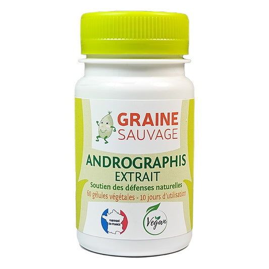 Andrographis (Extrait) en Gélules - 60 Gélules Végétales - Graine Sauvage