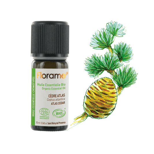 Huile Essentielle de Cèdre Atlas - 10 ml - Bio - Florame