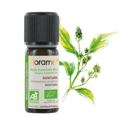 Huile Essentielle de Ravintsara - 10 ml - Bio - Florame