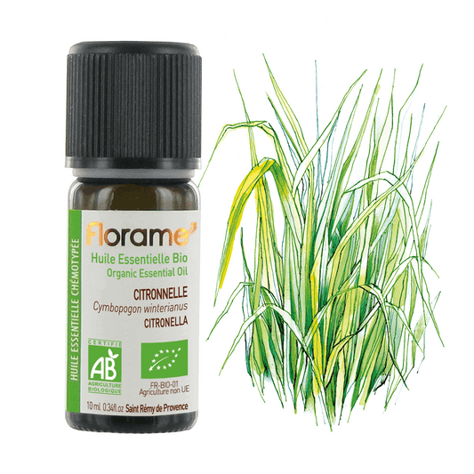 Huile Essentielle de Citronnelle - 10 ml - Bio - Florame