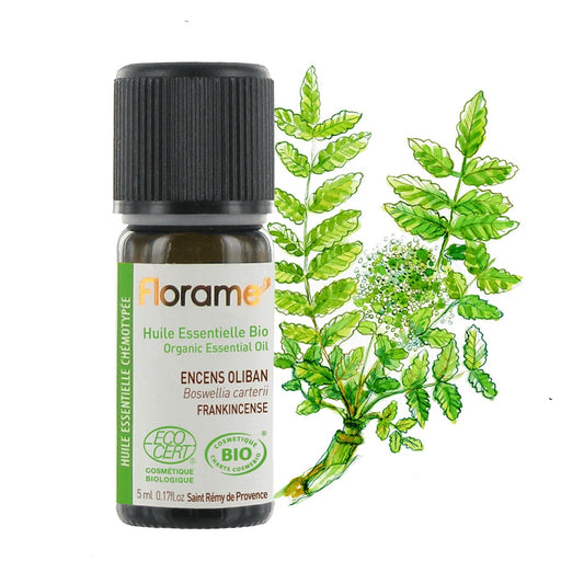 Huile Essentielle d'Encens Oliban - 5ml - Bio - Florame