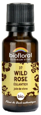 Fleur de Bach - Wild Rose (Églantier) - Bio - 19,5 g - Biolfloral