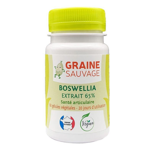 Boswellia (Extrait) - 60 Gélules Végétales - Graine Sauvage