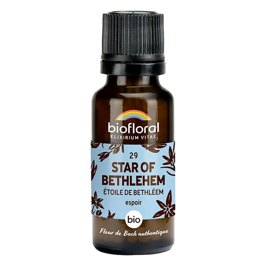 Fleur de Bach - Star of Bethleem - Bio - 19,5 g - Biofloral