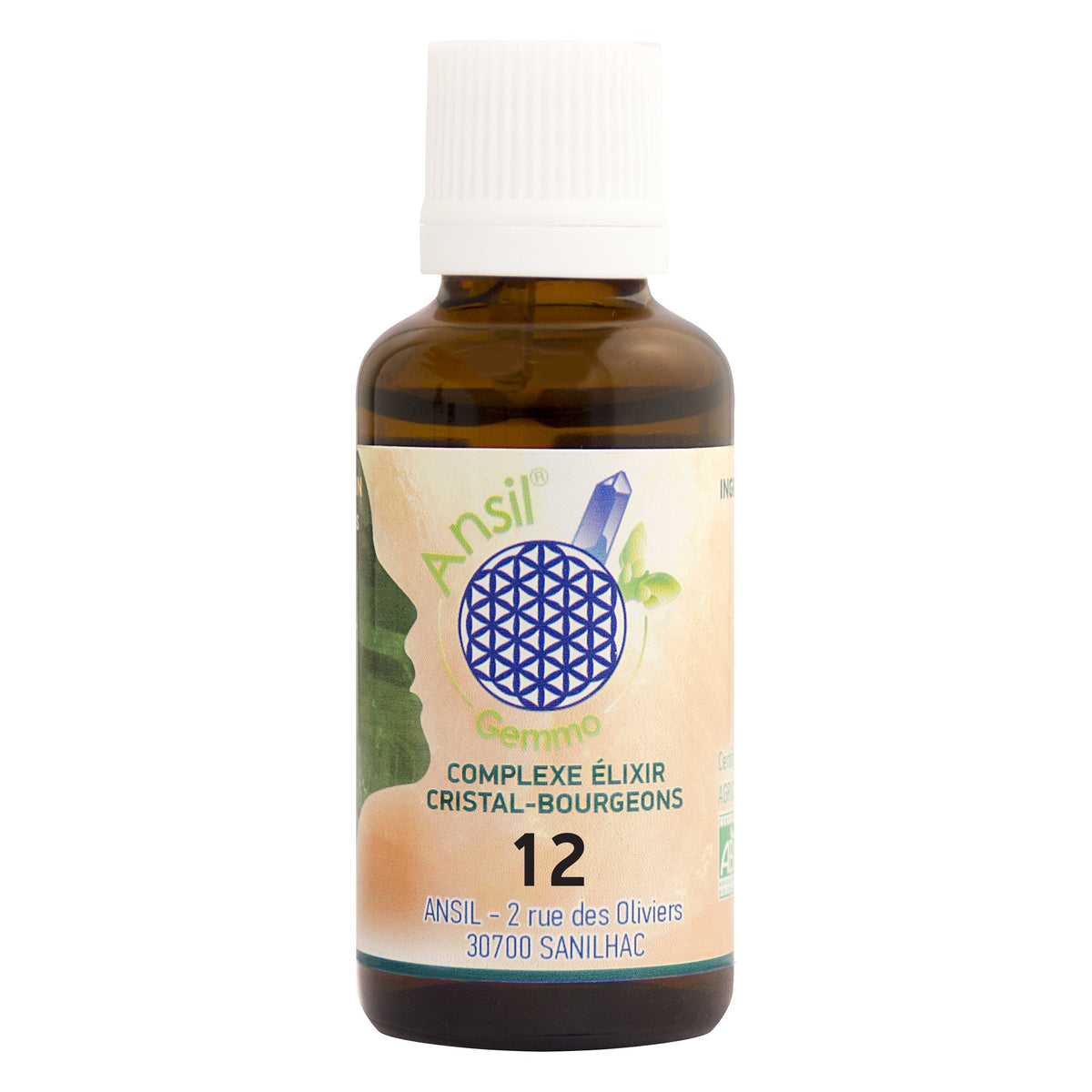 Complexe N°12 - Magnétite et Bourgeons de Ronce, Cassis, Romarin - 30 ml - Bio - Ansil / Crystal of Life