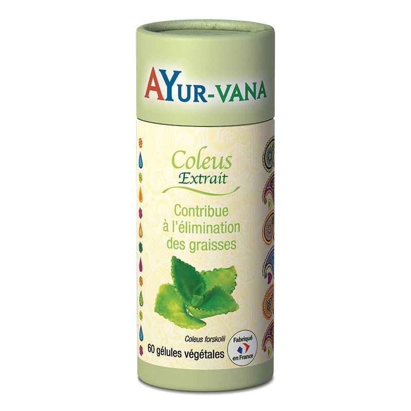 Coleus (Extrait) - 60 Gélules Végétales - Graine Sauvage