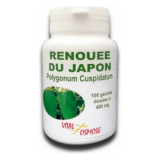 Renouée du Japon 400 mg - 100 Gélules - Vital Osmose