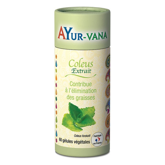 Coleus Extrait Titré à 10% de Forskoline - 60 Gélules Végétales - Ayur-Vana
