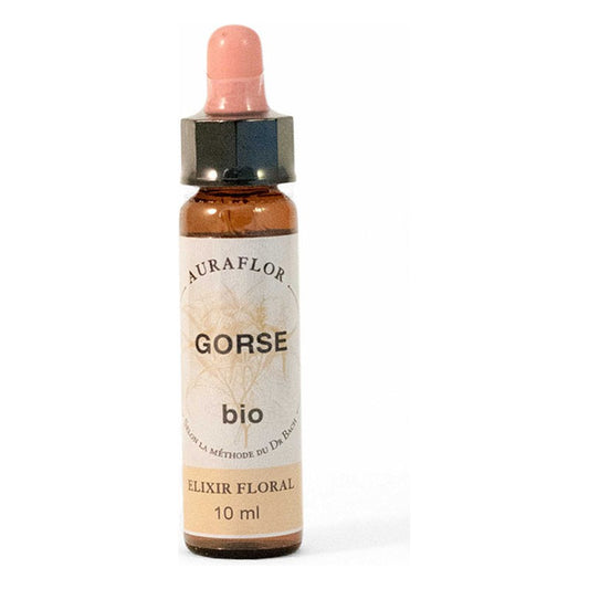 Fleurs de Bach - Ajonc - Compte-Gouttes de 10 ml - Bio - Dioter