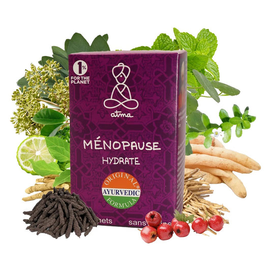 Infusion Nava Vasanta Ménopause - 20 Sachets - Bio - Atma