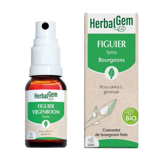 Figuier en Spray - 15 ml - Bio - Herbalgem