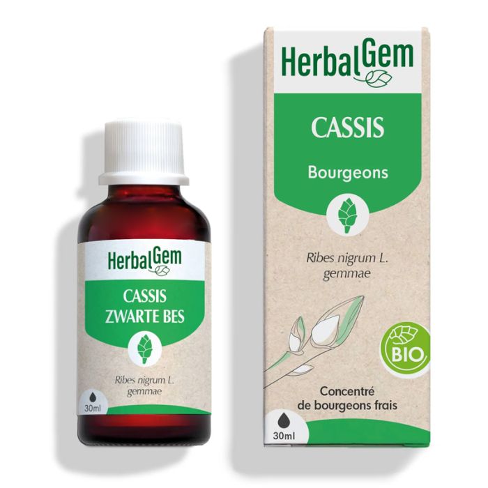 Cassis - 30 ml - Bio - Herbalgem