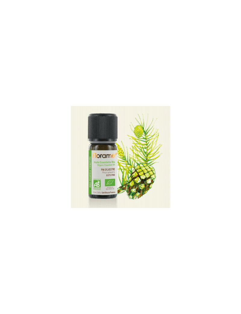 Huile Essentielle de Pin Sylvestre - 10 ml - Bio - Florame