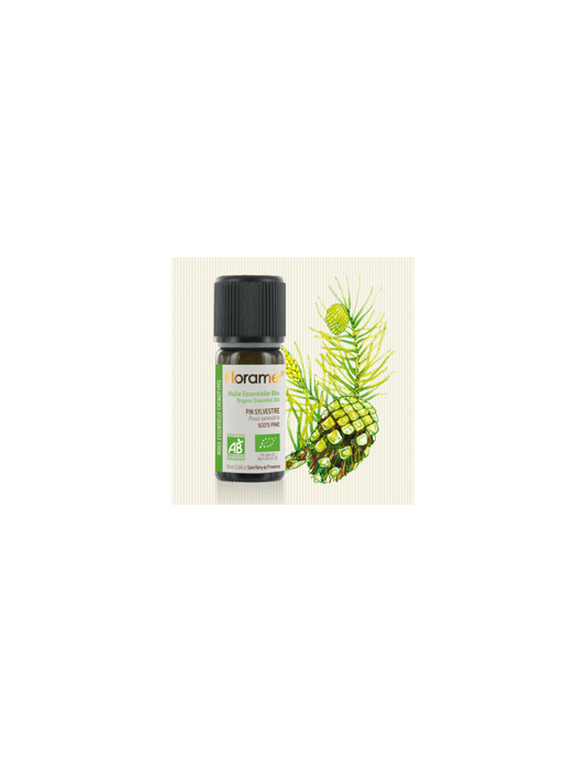 Huile Essentielle de Pin Sylvestre - 10 ml - Bio - Florame
